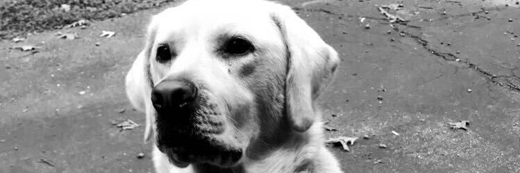 KID_Coop_13's profile banner image