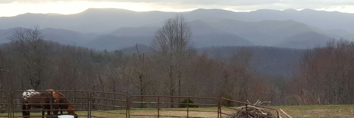 FabulouslySarah's profile banner image