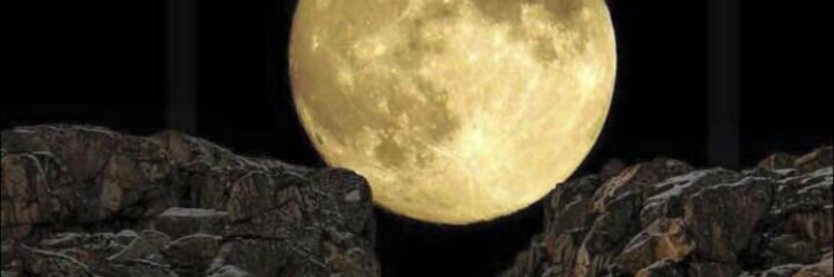 إِنْسَانٌ آخَرُ banner