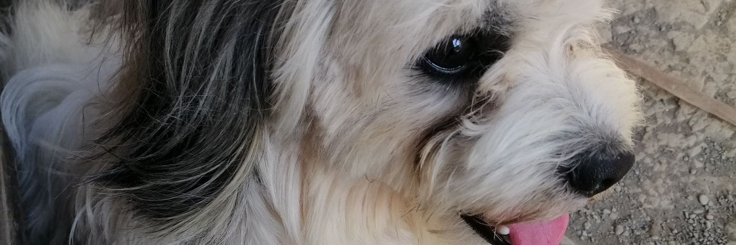 MarkBryanAko's profile banner image