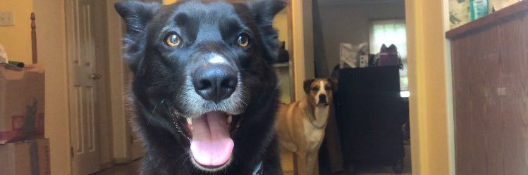 skippy128's profile banner image