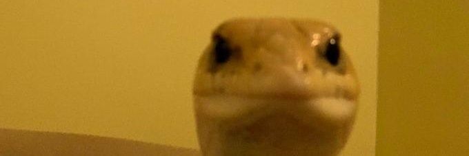 Ryzsard_'s profile banner image