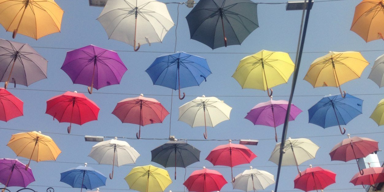 Freya Purnell banner