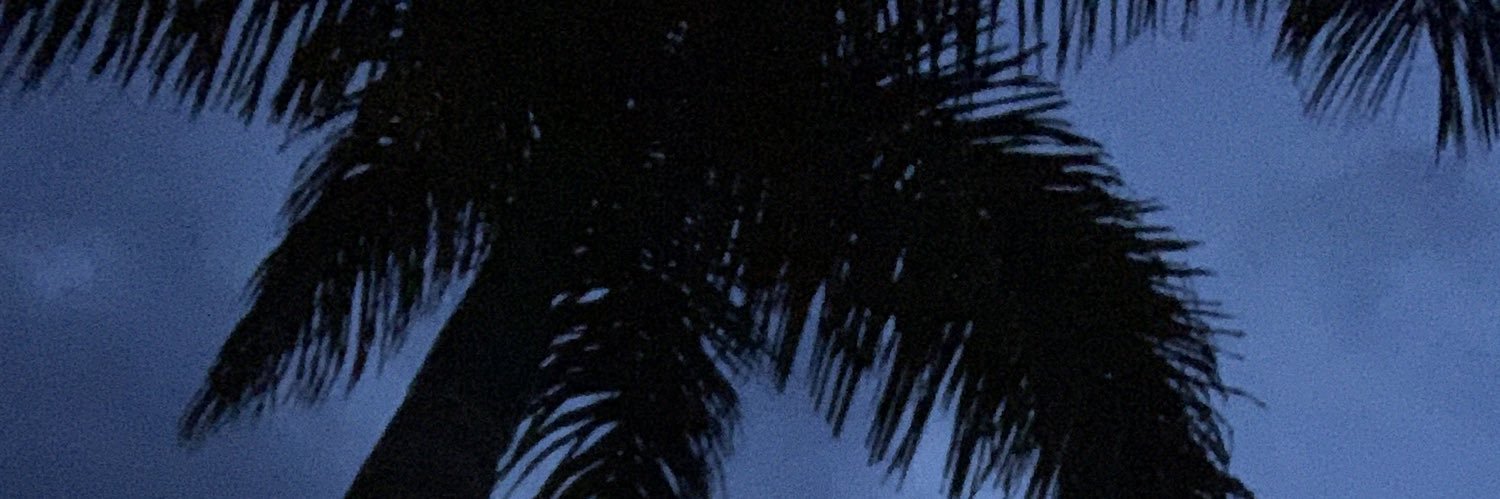 bruno_caipira's profile banner image