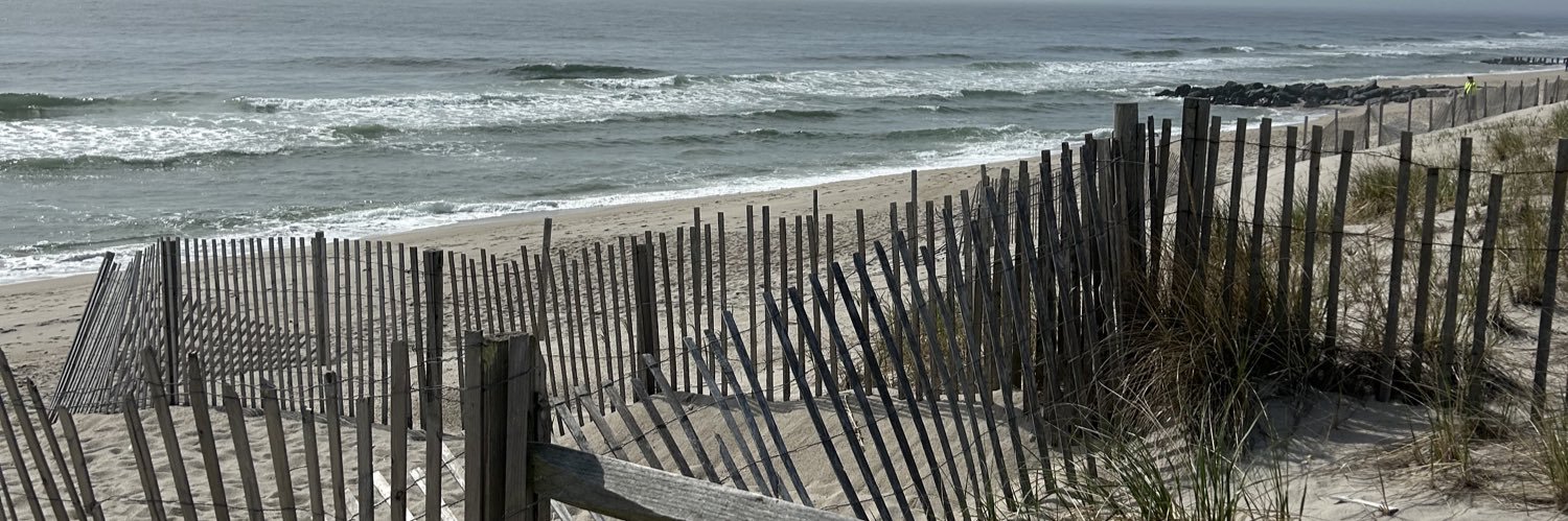 Ellen Starkey-Cusack banner