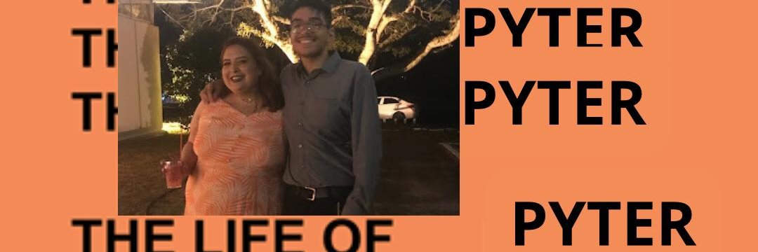 pyterodactyl's profile banner image