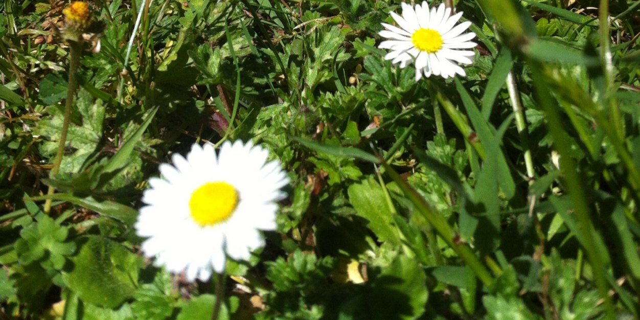 ANDERNOS_PLAGES's profile banner image
