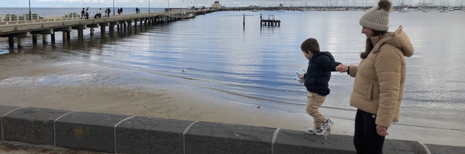 Joni Pirovich 🛡️ banner