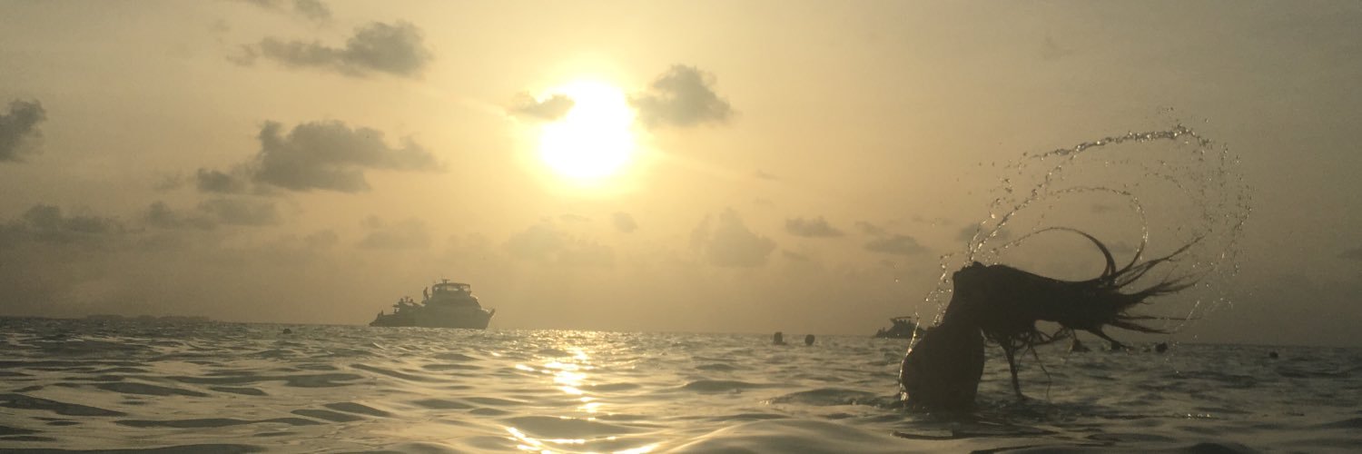 michellepee's profile banner image
