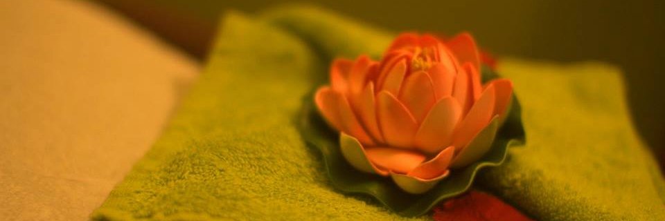 organic_spas's profile banner image