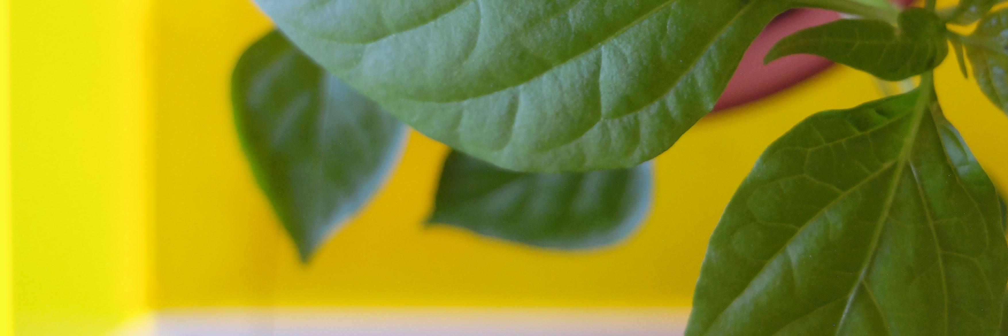 DemetraMaker's profile banner image