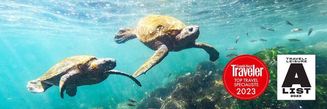 KnowmadTravel's profile banner image