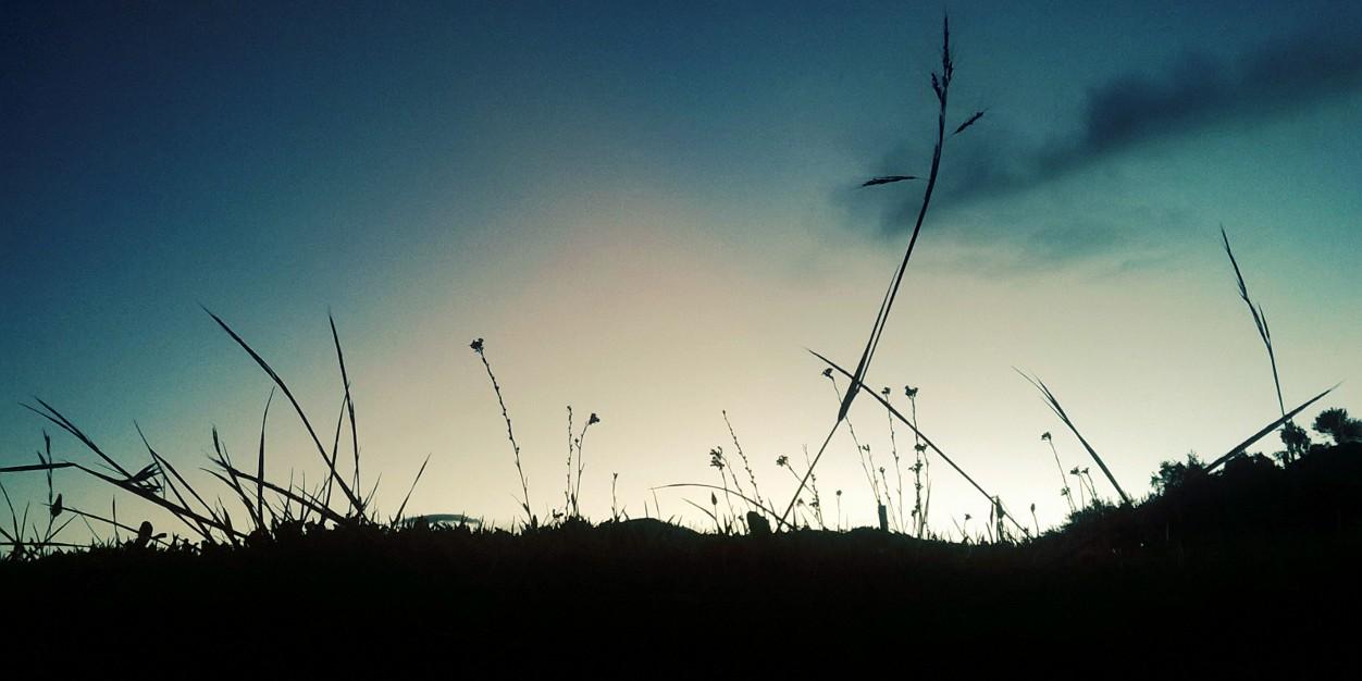 nihu_wu's profile banner image
