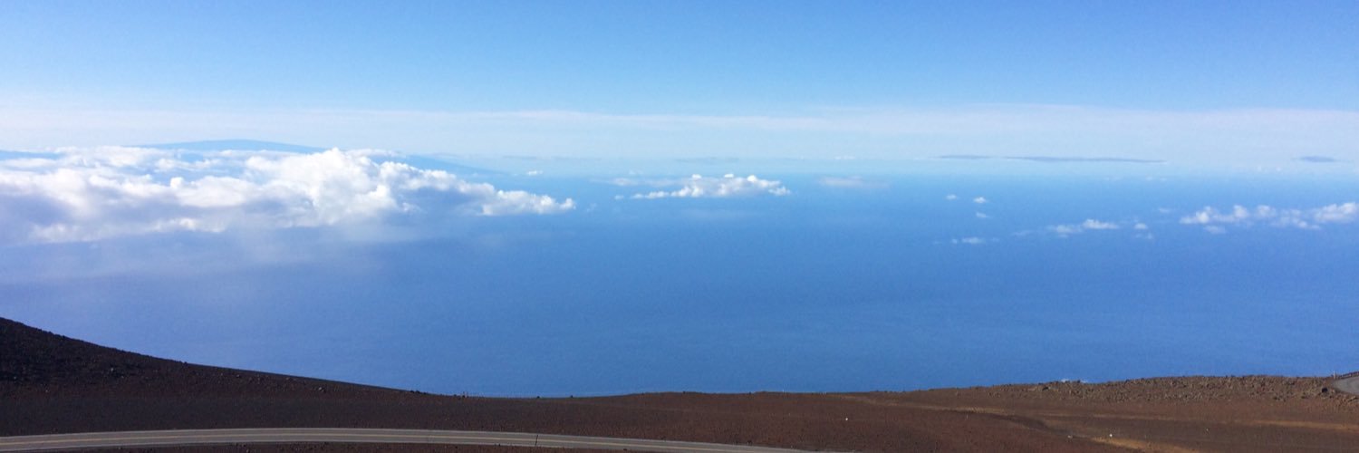 Katelynn Taylor banner