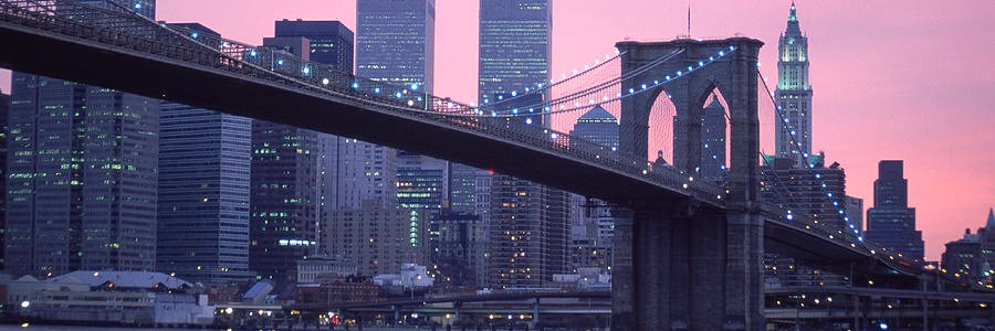 Brooklynite | 🇺🇸🍌🐒's banner