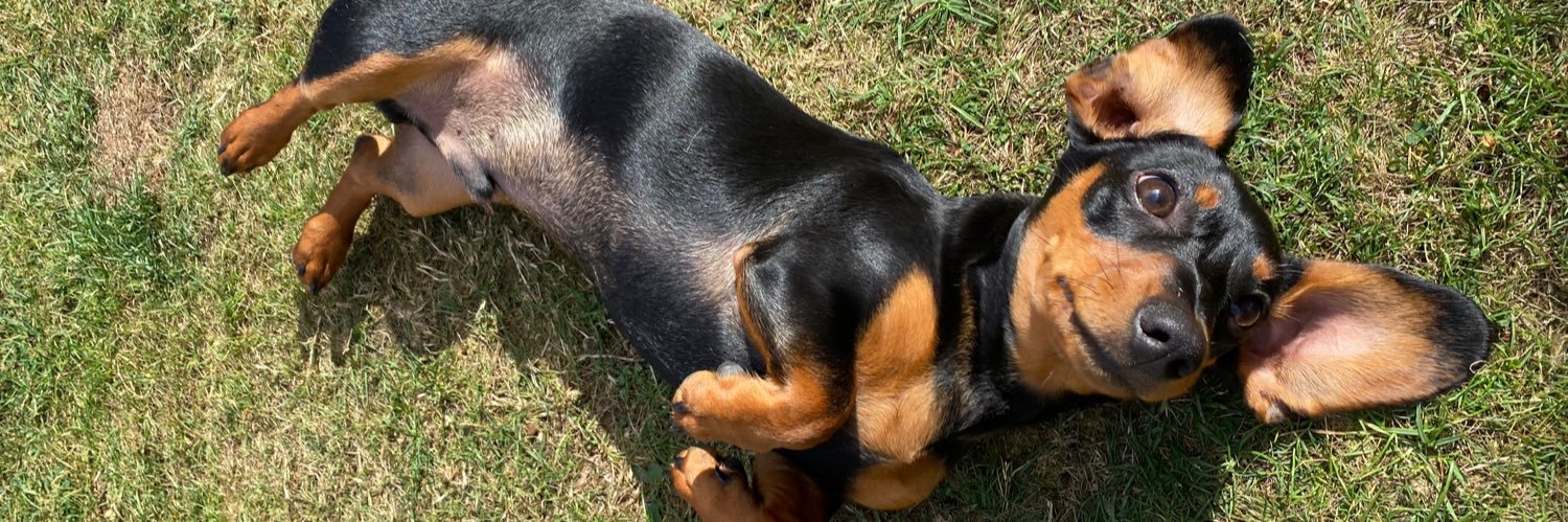 Benjamin Wainwright banner