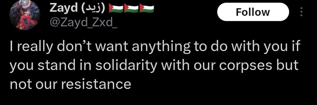 single issue voter 🇵🇸🇳🇨🇸🇩🇧🇩🇨🇩 banner