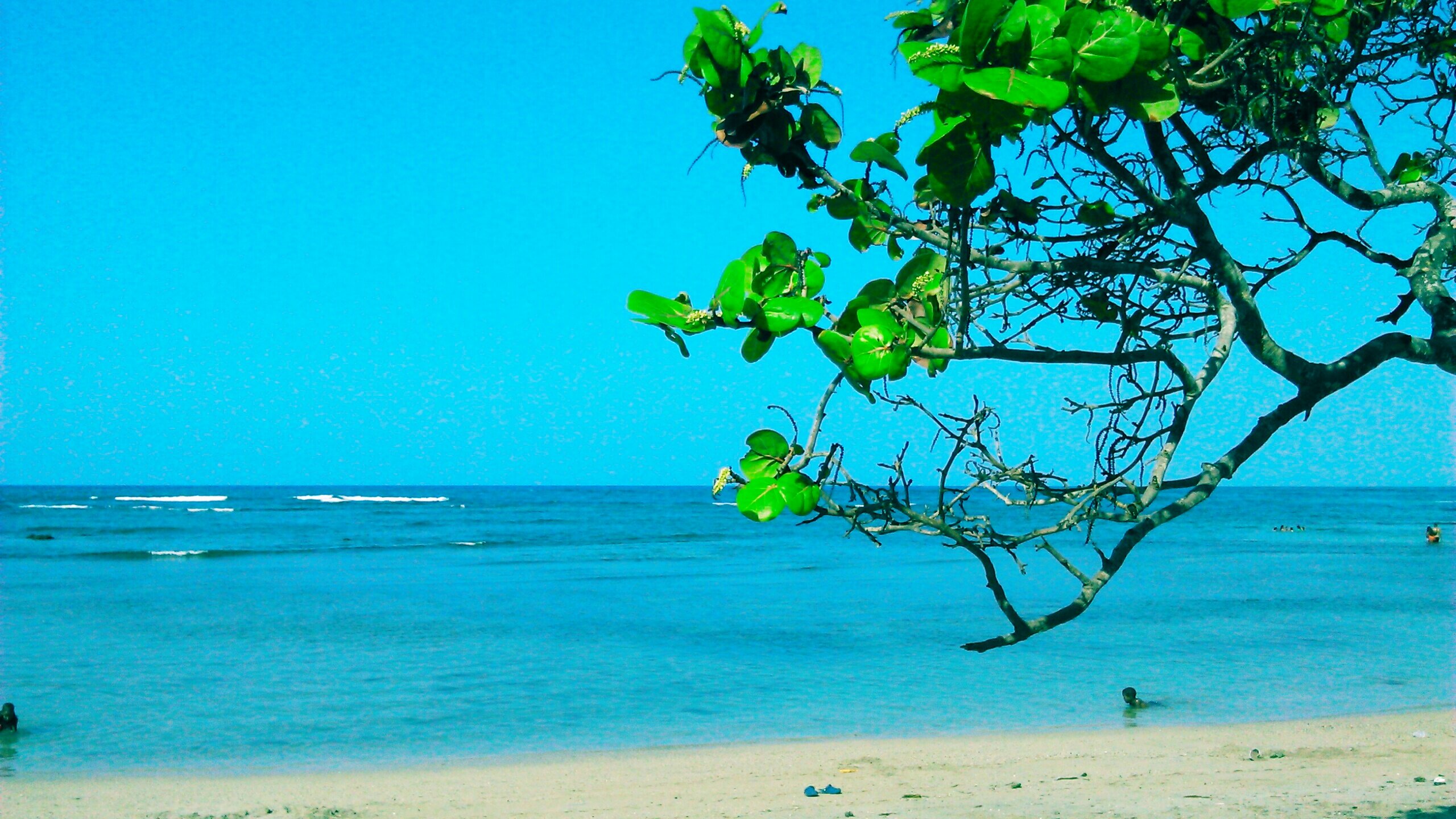 Jinia Alvarez banner