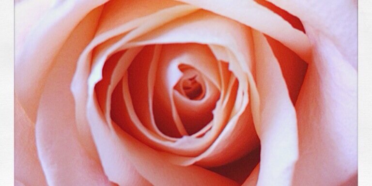 beccaharrison76's profile banner image