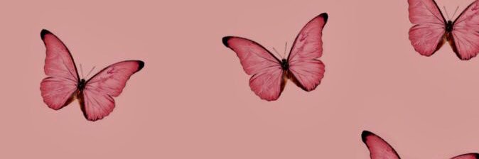 aellenreis's profile banner image