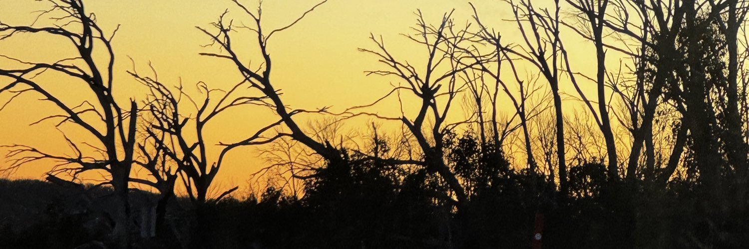 ozz2474's profile banner image