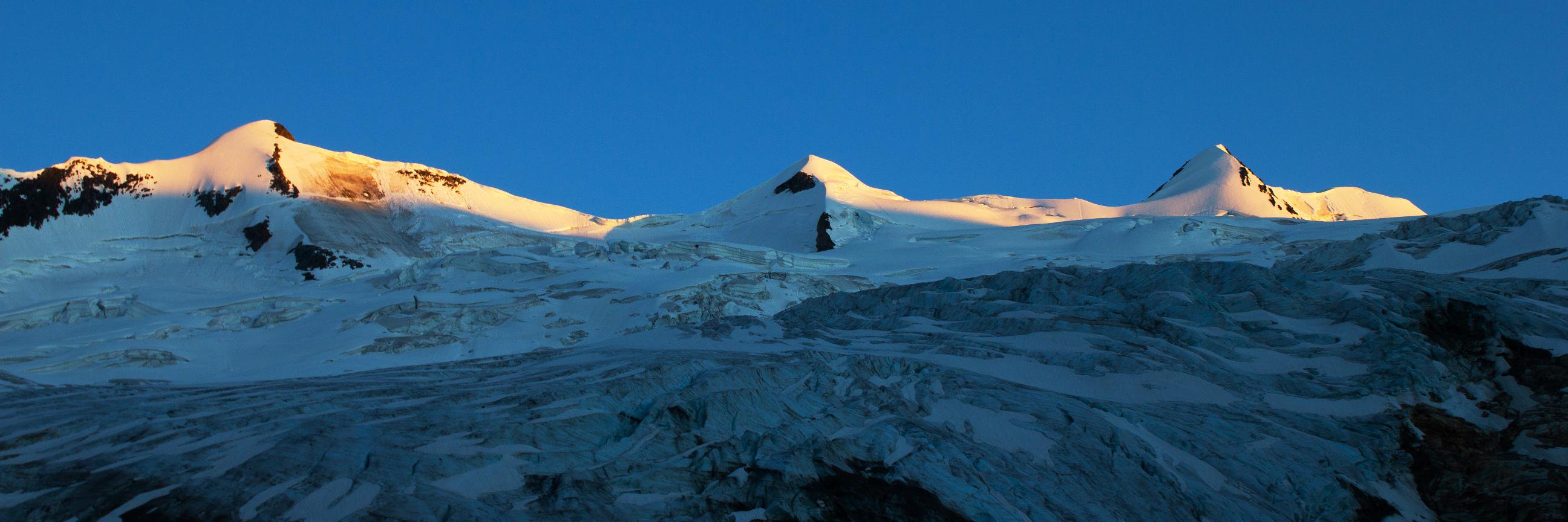 Dr Noel Fitzpatrick banner