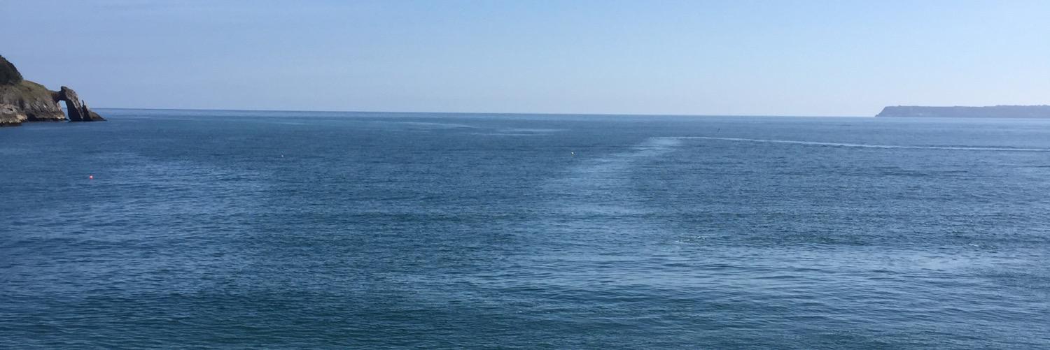 ReeceCompo's profile banner image