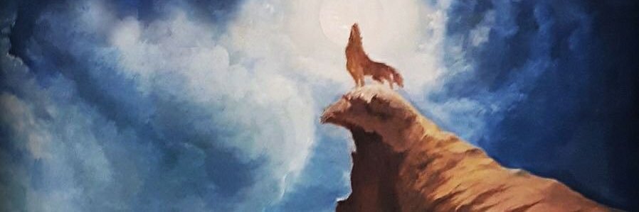 CihanAkduman's profile banner image