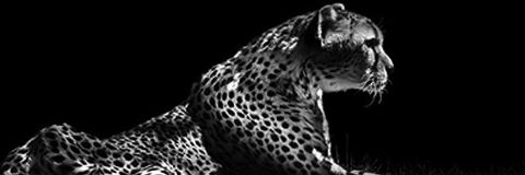 missteriosa45's profile banner image