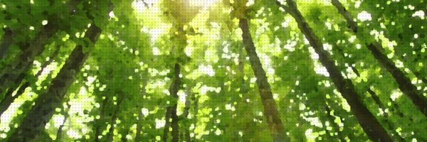 forestry_tep Profile Banner