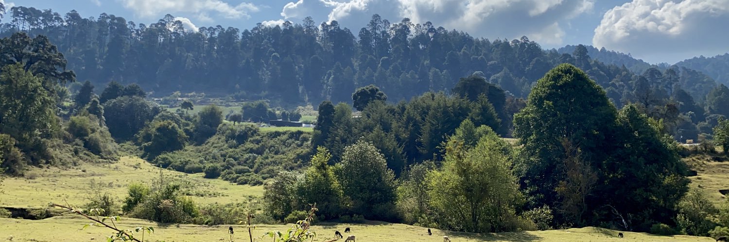Fantomoso's profile banner image
