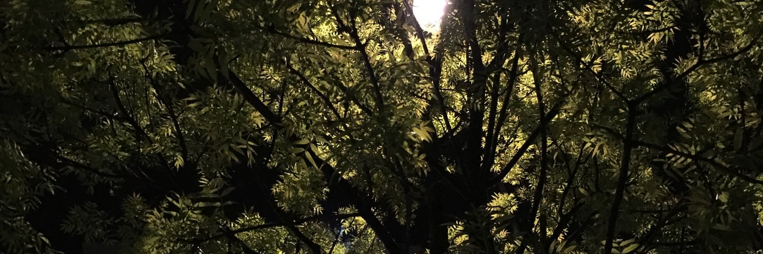 the_codemind's profile banner image