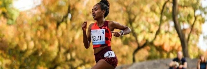 WKelati's profile banner image