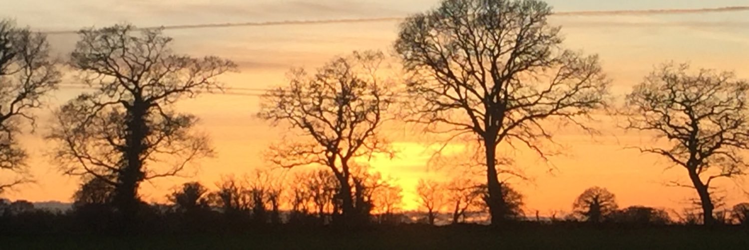 Mikklee4's profile banner image