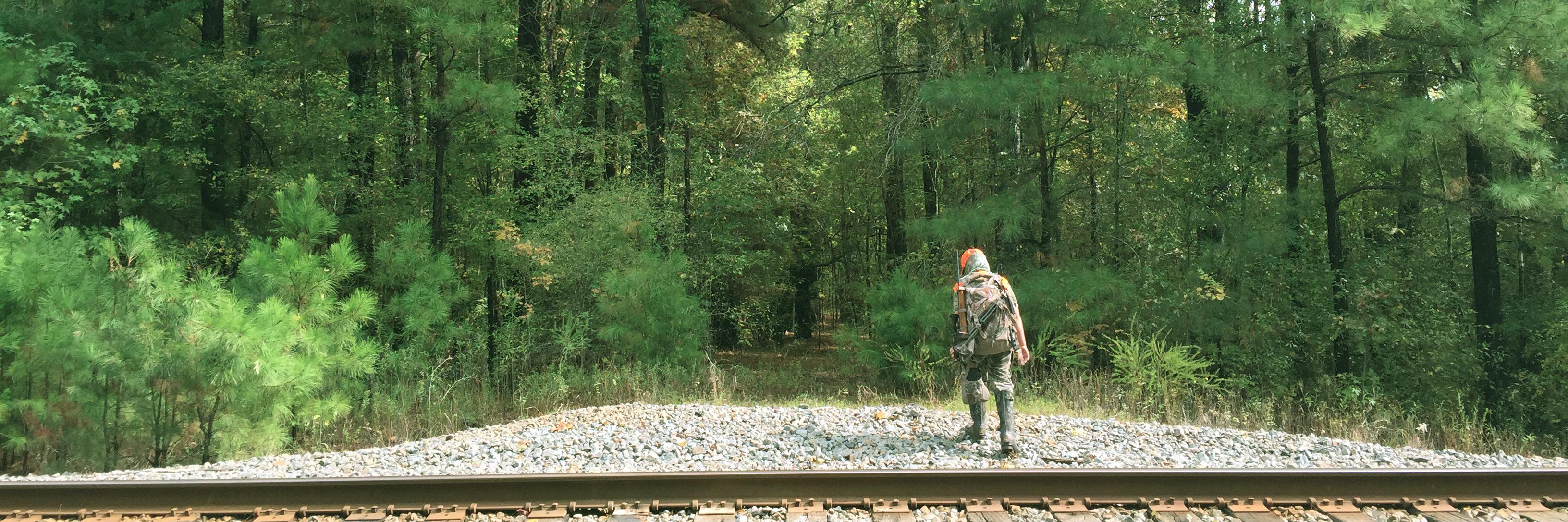 Wilderness_Law's profile banner image