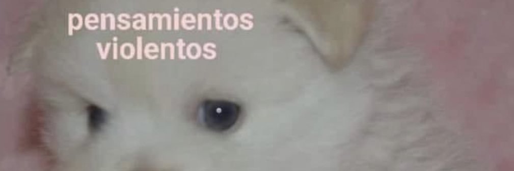 spacepiglet's profile banner image