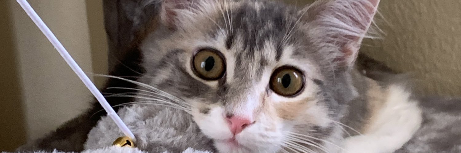 ArtistIntrovert's profile banner image