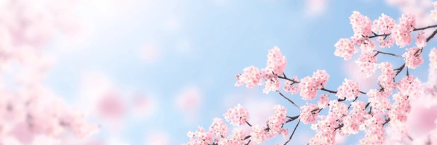 Saborknight8's profile banner image