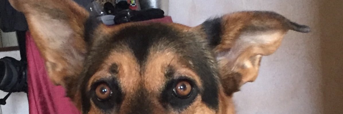 Tomweltweit's profile banner image