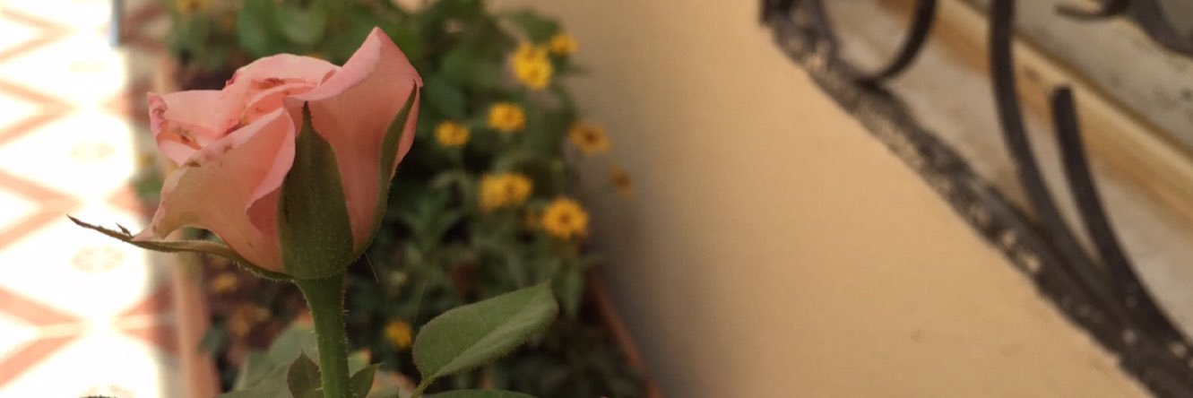 things2do_'s profile banner image