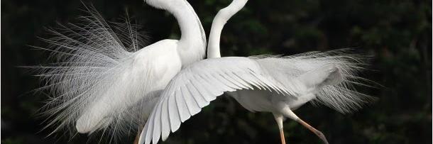 ChweyaMmoja's profile banner image