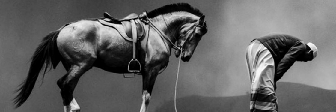 fetoo86's profile banner image