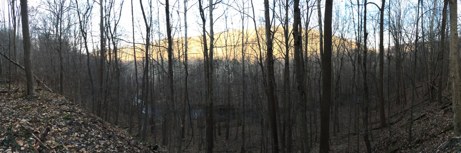 S_Bush155's profile banner image
