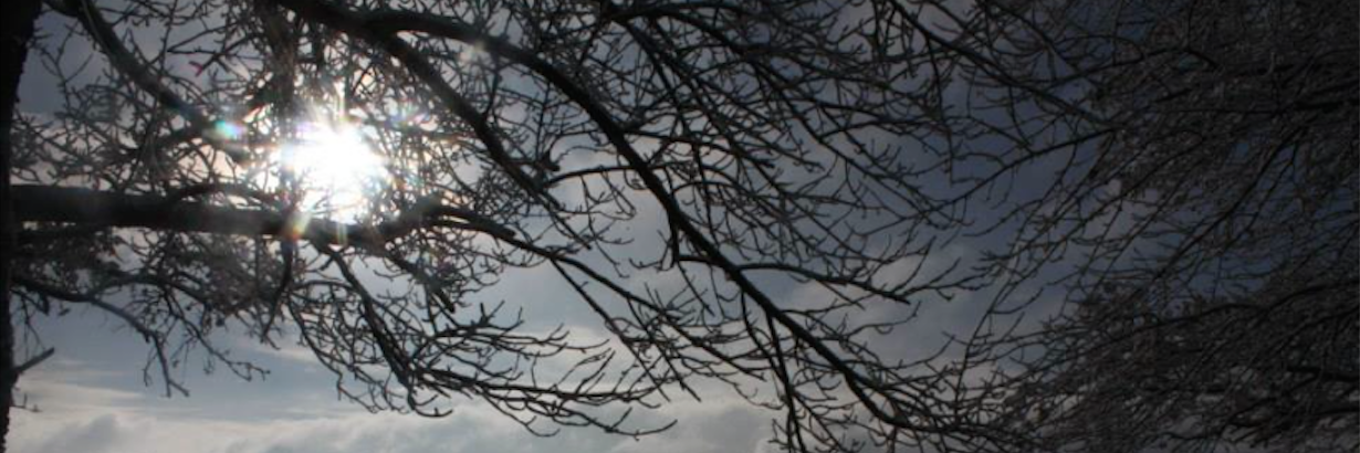 thomasdayer's profile banner image