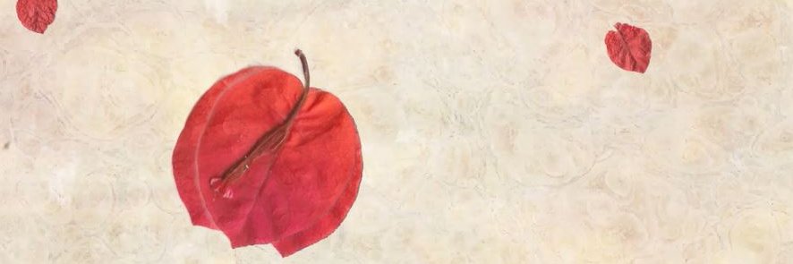 chururat's profile banner image