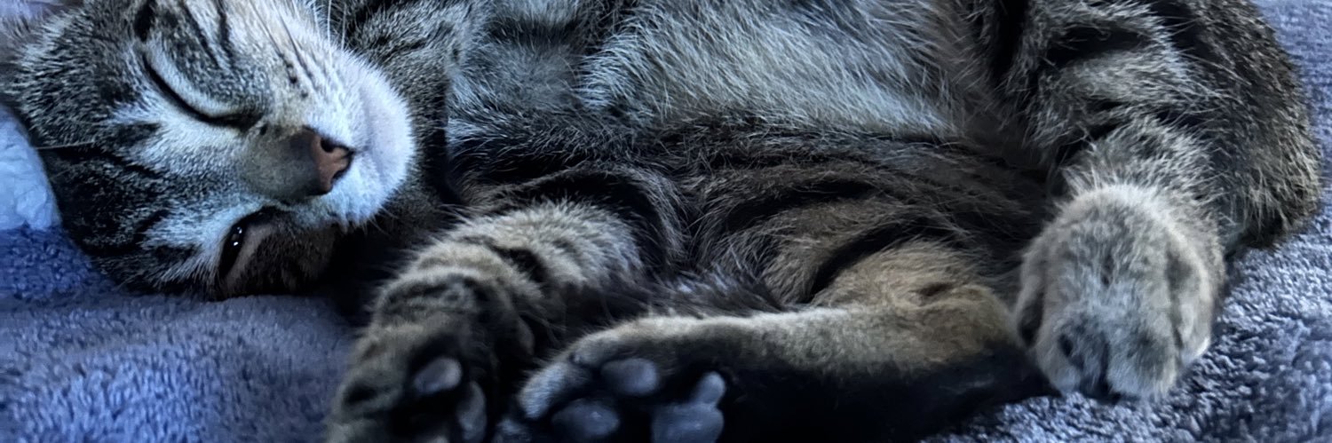 reynavazz's profile banner image