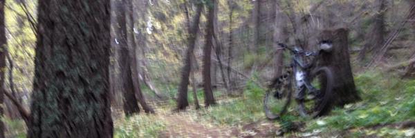 bbier Profile Banner