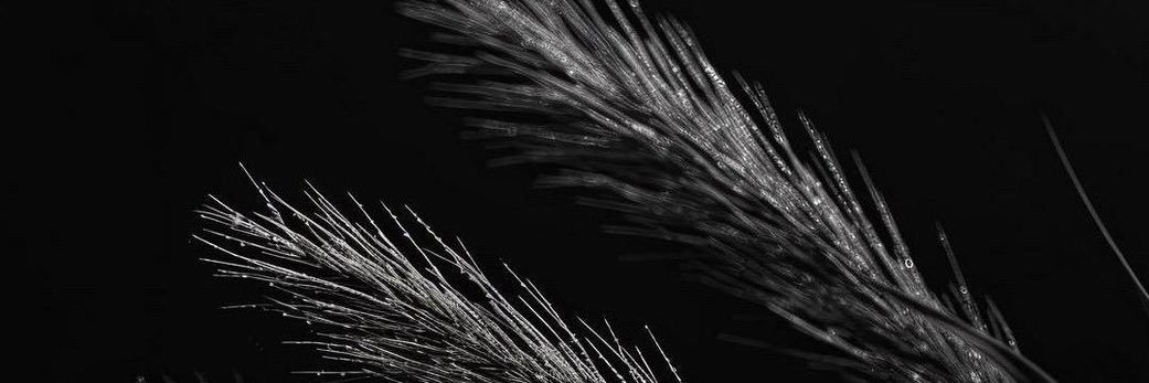 aeeddyy's profile banner image
