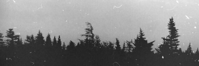 Obility95's profile banner image