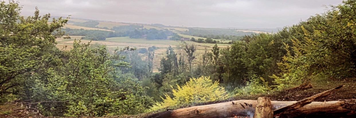 jordan_clee's profile banner image